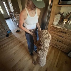 Meet your Posher, Sam